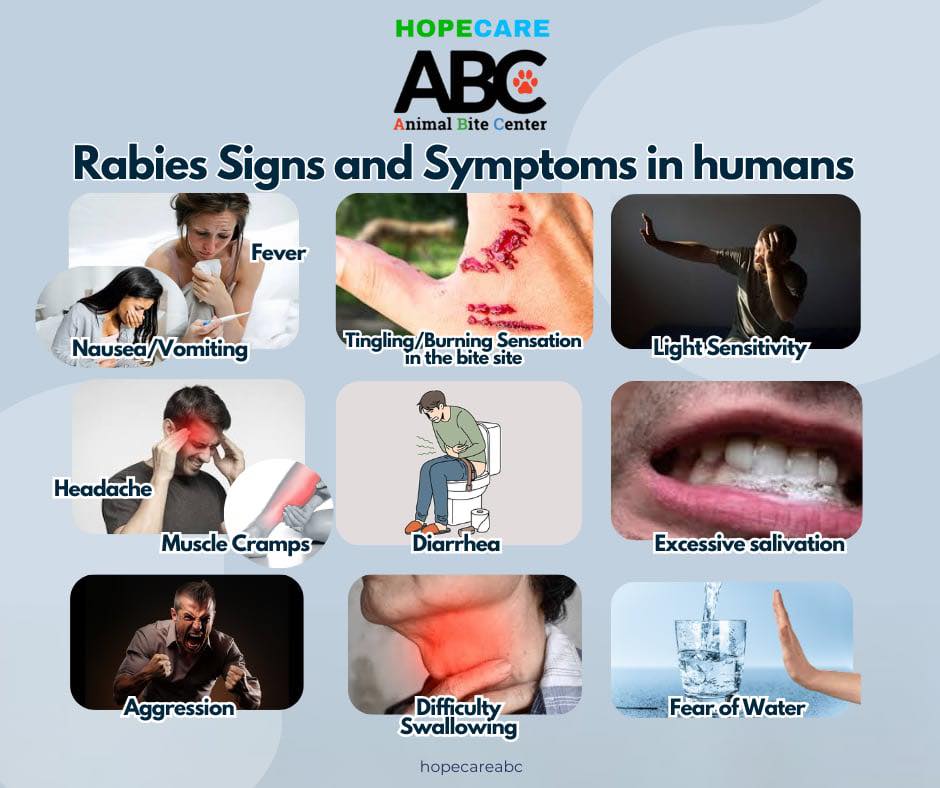 Rabies Sign and Symptoms in humans